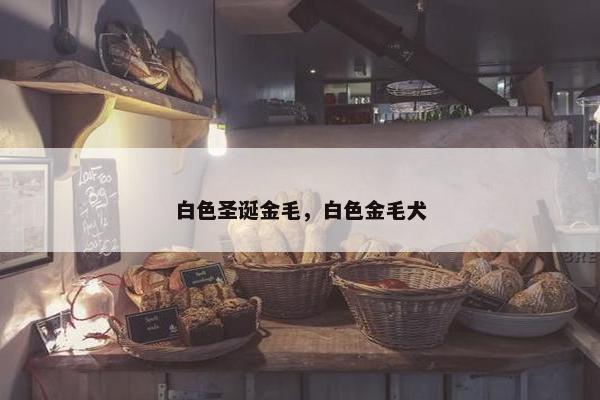圣诞