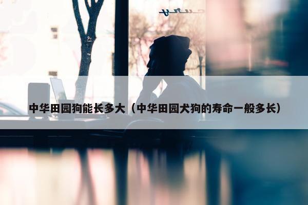 中华田园狗能长多大（中华田园犬狗的寿命一般多长）