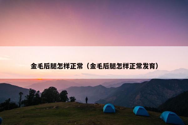 金毛后腿怎样正常（金毛后腿怎样正常发育）