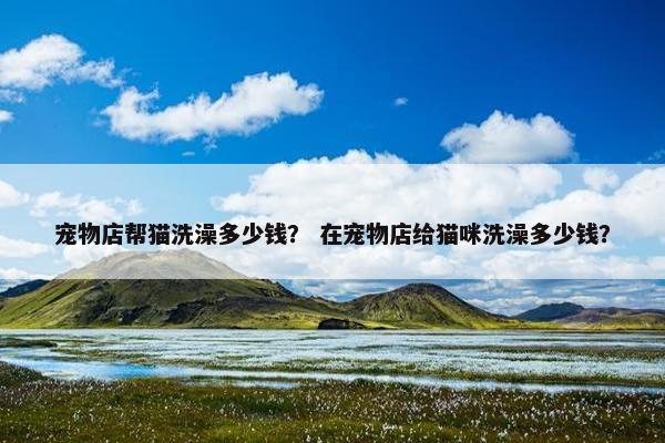 宠物店帮猫洗澡多少钱？ 在宠物店给猫咪洗澡多少钱？