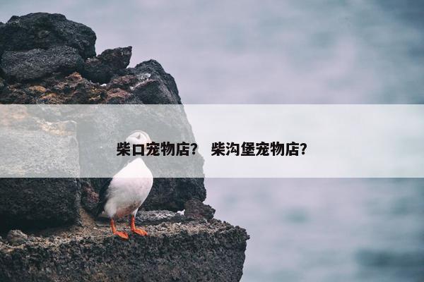 柴口宠物店？ 柴沟堡宠物店？