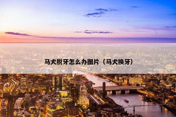 马犬脱牙怎么办图片（马犬换牙）