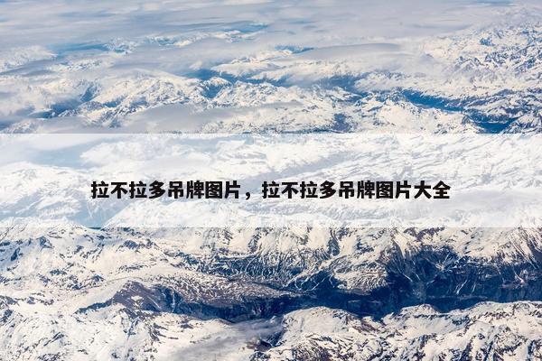 拉不拉多吊牌图片，拉不拉多吊牌图片大全