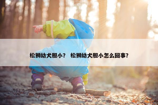 松狮 第32页
