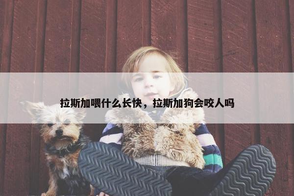 阿拉斯加 第16页
