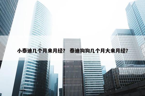 小泰迪几个月来月经？ 泰迪狗狗几个月大来月经？