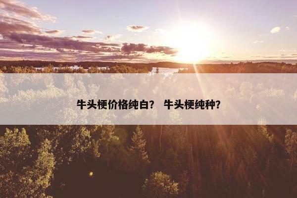 牛头梗价格纯白？ 牛头梗纯种？