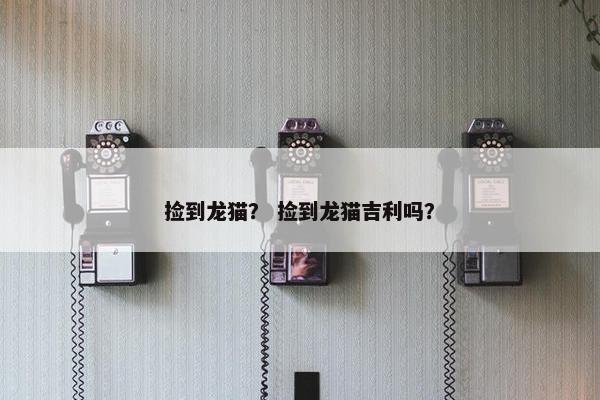 捡到龙猫？ 捡到龙猫吉利吗？