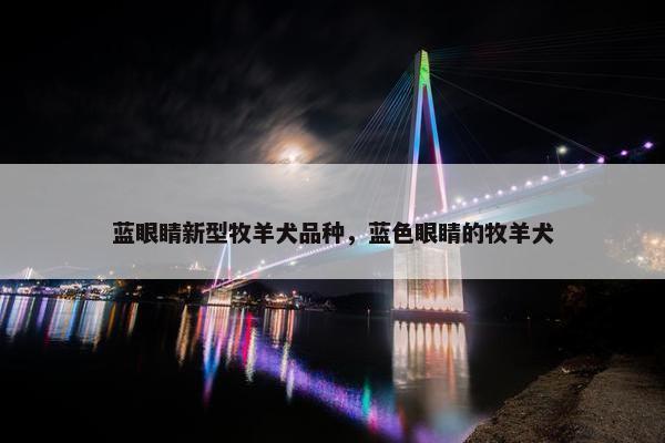 蓝眼睛新型牧羊犬品种，蓝色眼睛的牧羊犬