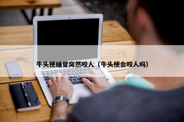 化训