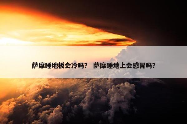 萨摩睡地板会冷吗？ 萨摩睡地上会感冒吗？
