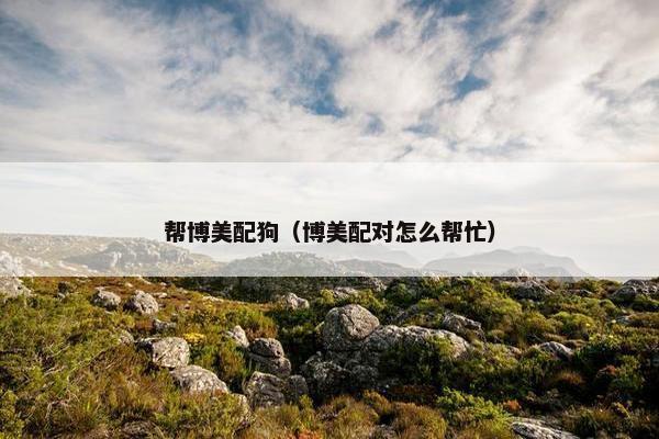 帮博美配狗（博美配对怎么帮忙）