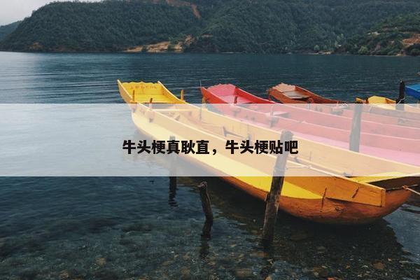 牛头梗真耿直，牛头梗贴吧