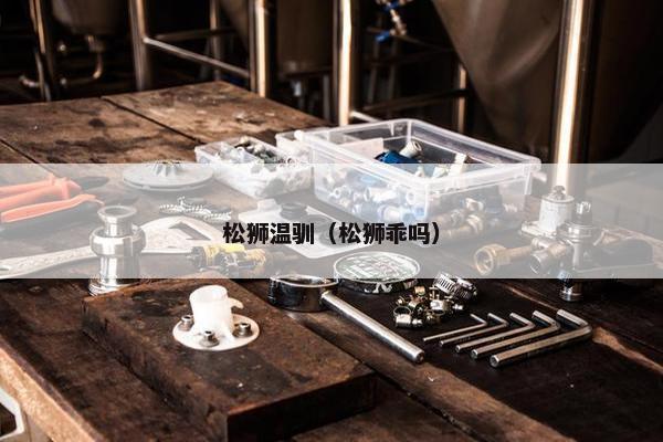 松狮温驯（松狮乖吗）