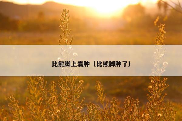 比熊脚上囊肿（比熊脚肿了）