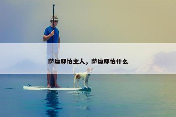 萨摩耶怕主人，萨摩耶怕什么