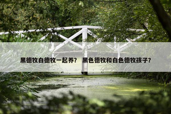 黑德牧白德牧一起养？ 黑色德牧和白色德牧孩子？