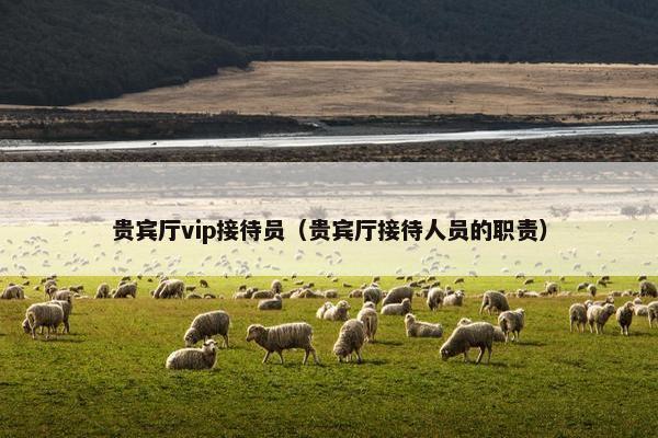 贵宾厅vip接待员（贵宾厅接待人员的职责）