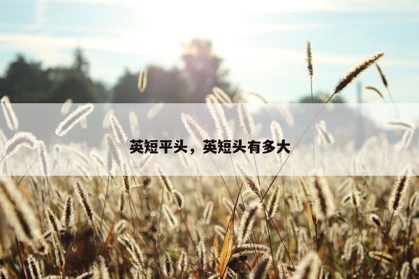 英短平头，英短头有多大
