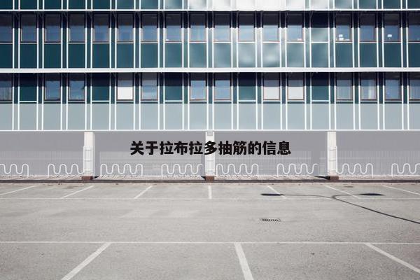关于拉布拉多抽筋的信息