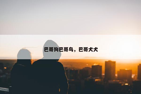 巴哥狗巴哥鸟，巴哥犬犬