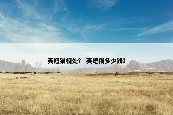 英短猫相处？ 英短猫多少钱？