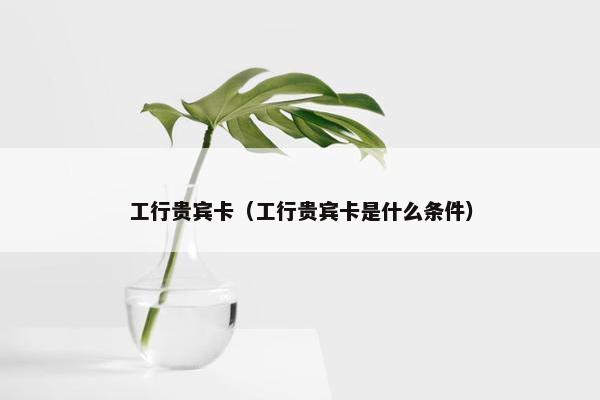 工行贵宾卡（工行贵宾卡是什么条件）