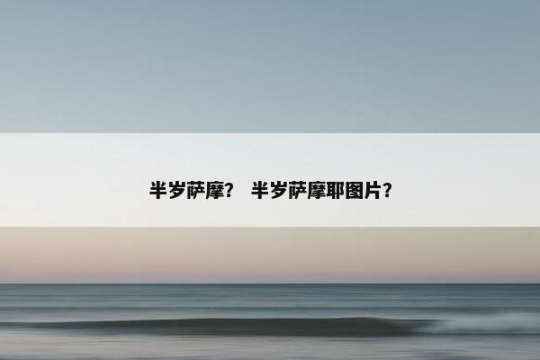 半岁萨摩？ 半岁萨摩耶图片？