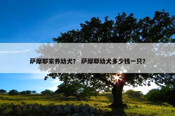 萨摩耶家养幼犬？ 萨摩耶幼犬多少钱一只？