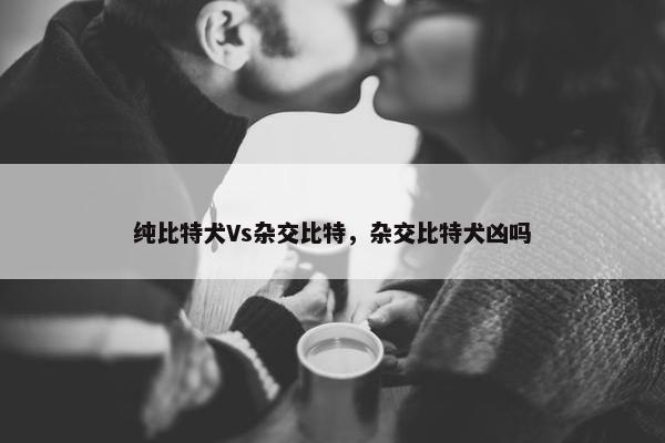 纯比特犬Vs杂交比特，杂交比特犬凶吗