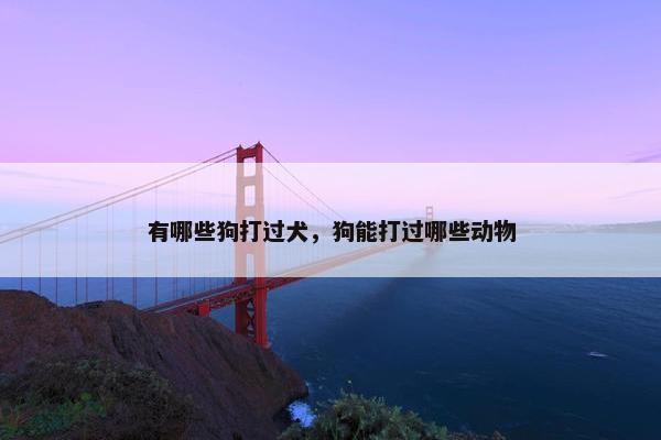 有哪些狗打过犬，狗能打过哪些动物