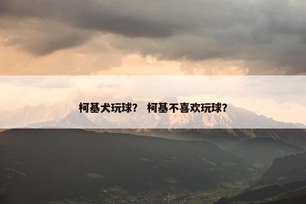 户外活动