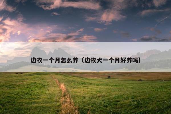 消化 第2页