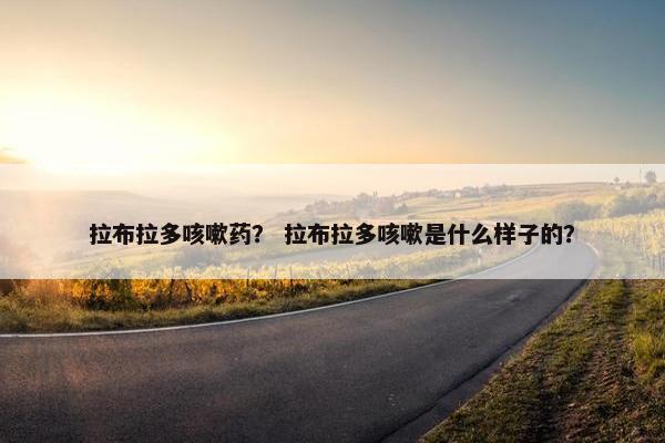拉布拉多咳嗽药？ 拉布拉多咳嗽是什么样子的？
