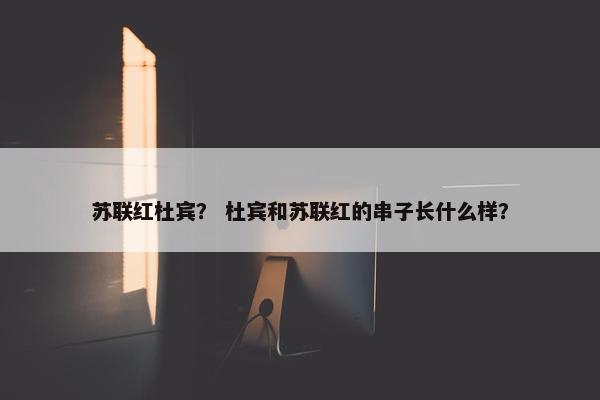 苏联红杜宾？ 杜宾和苏联红的串子长什么样？