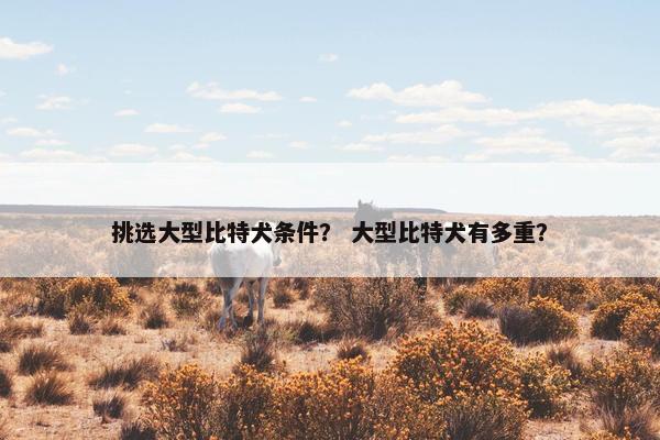 挑选大型比特犬条件？ 大型比特犬有多重？