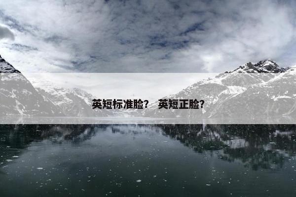 英短标准脸？ 英短正脸？
