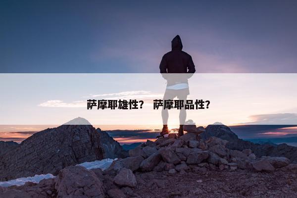 萨摩耶雄性？ 萨摩耶品性？