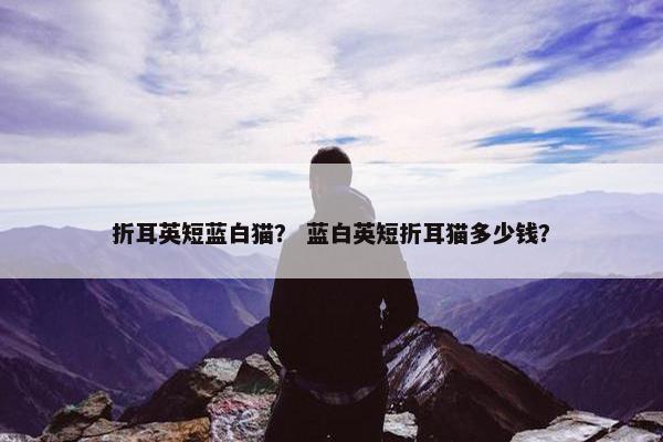 折耳英短蓝白猫？ 蓝白英短折耳猫多少钱？