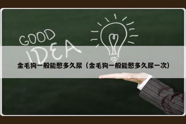 金毛狗一般能憋多久尿（金毛狗一般能憋多久尿一次）