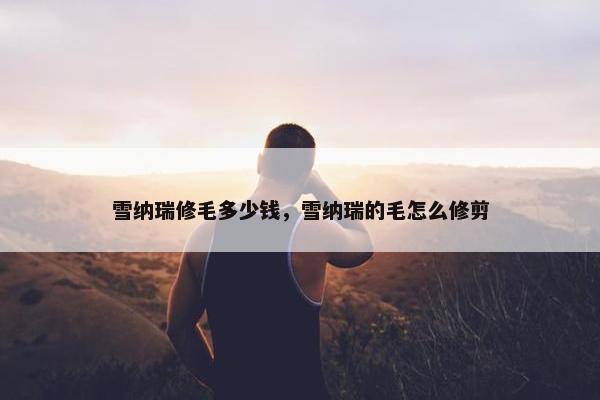 雪纳瑞修毛多少钱，雪纳瑞的毛怎么修剪