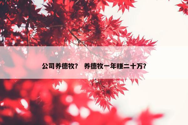 公司养德牧？ 养德牧一年赚二十万？