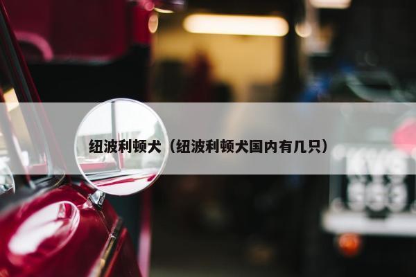 纽波利顿犬（纽波利顿犬国内有几只）