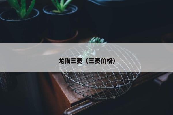 起风