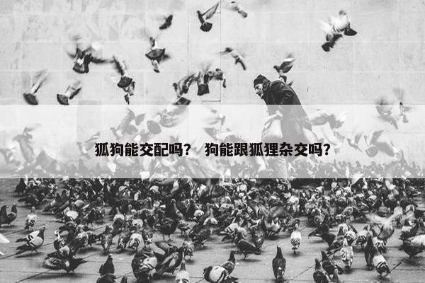 狐狗能交配吗？ 狗能跟狐狸杂交吗？