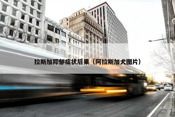 拉斯加抑郁症状后果（阿拉斯加犬图片）