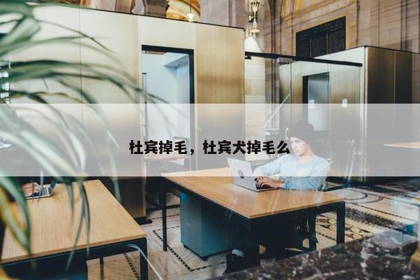 杜宾掉毛，杜宾犬掉毛么