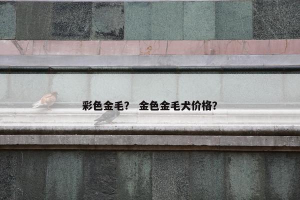 彩色金毛？ 金色金毛犬价格？