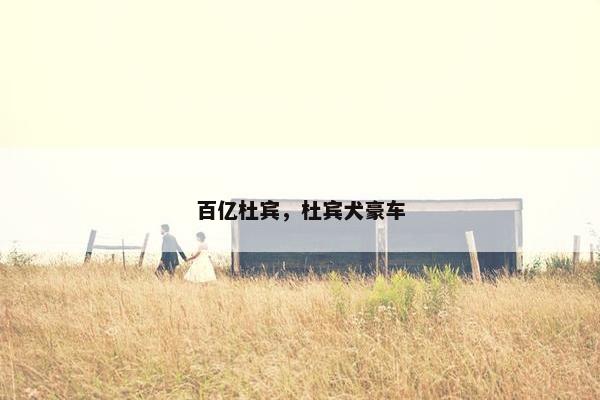 百亿杜宾，杜宾犬豪车