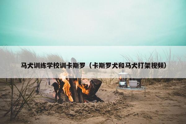 马犬训练学校训卡斯罗（卡斯罗犬和马犬打架视频）